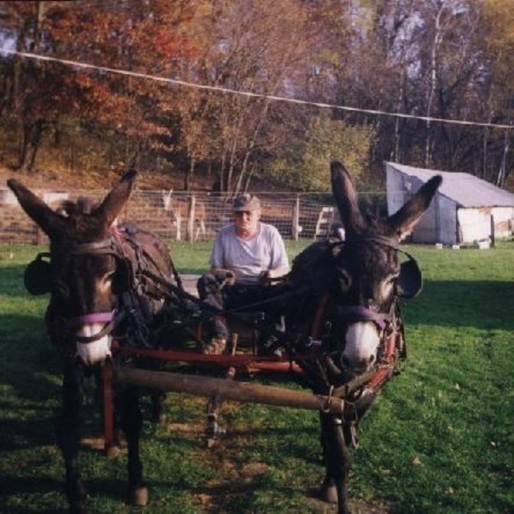 Meet your Posher, Deanna